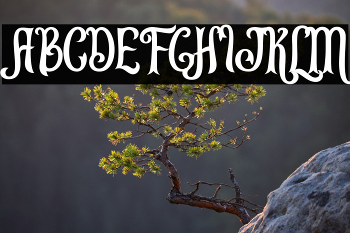 Leonardo da Vincen Example 1