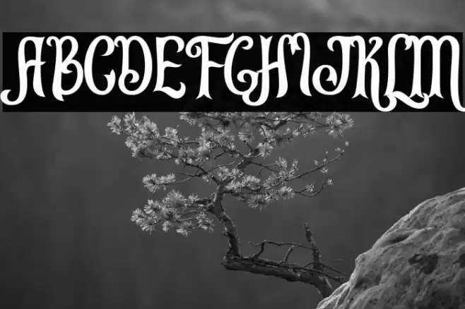 Leonardo da Vincen Font examples