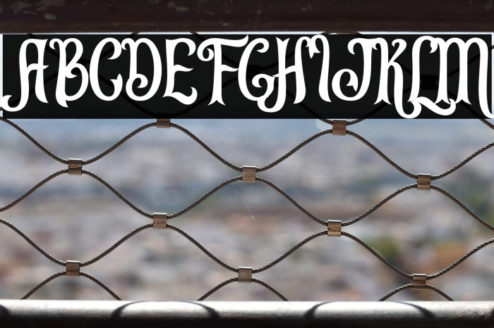 Leonardo da Vincen Example 2