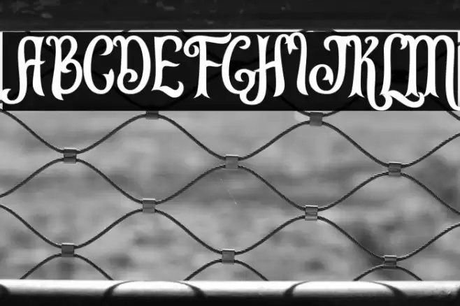 Leonardo da Vincen Font examples