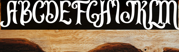 Leonardo da Vincen Example 3