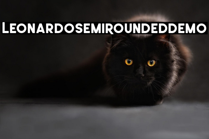 LeonardoSemiRoundedDemo Example 1