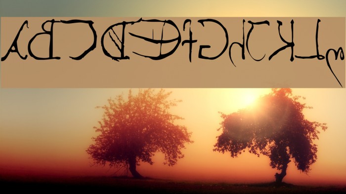 Leonardos mirrorwriting Example 2