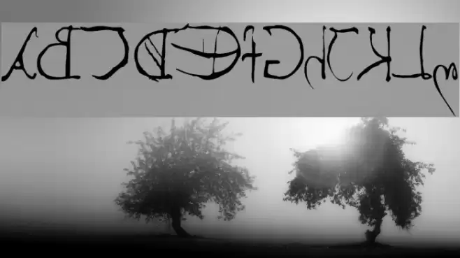 Leonardos mirrorwriting Font examples