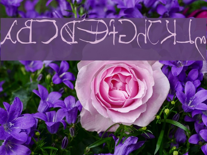 Leonardos mirrorwriting Example 3