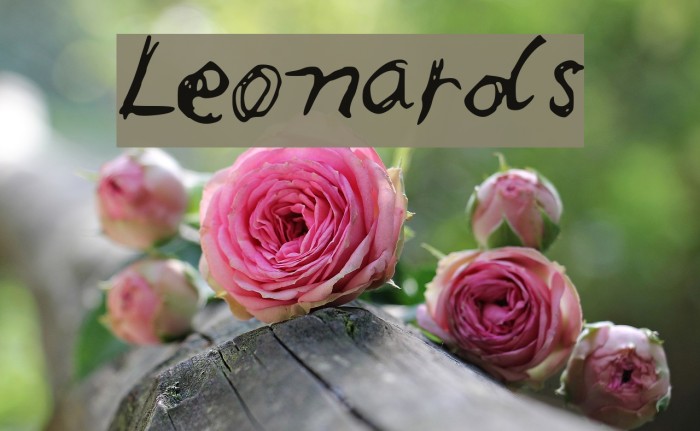 Leonards Font examples