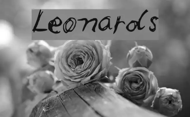 Leonards Example 2