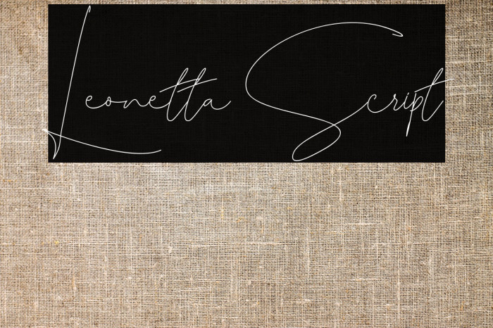 Leonetta Script Example 1