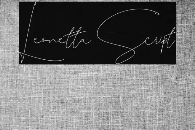 Leonetta Script Example 1