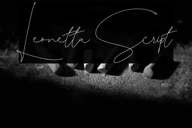 Leonetta Script Example 2