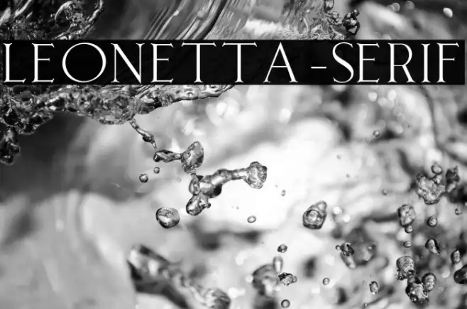 Leonetta-Serif Example 1