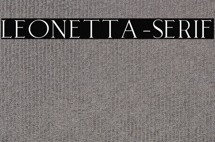 Leonetta-Serif Example 2