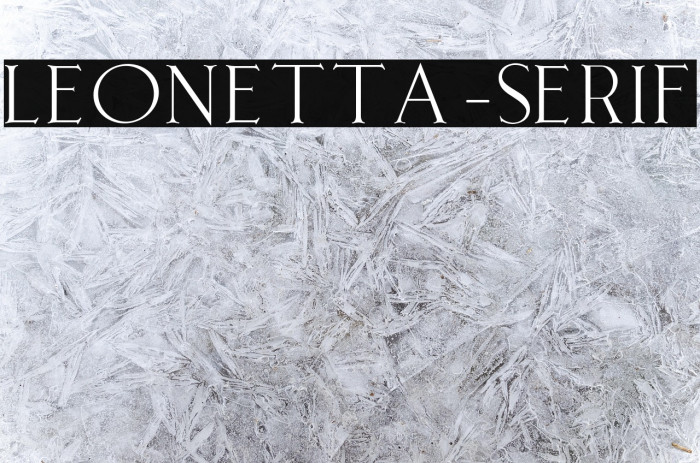 Leonetta-Serif Example 3