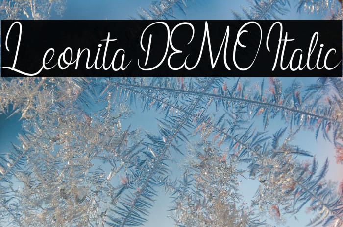 Leonita DEMO Italic Example 2