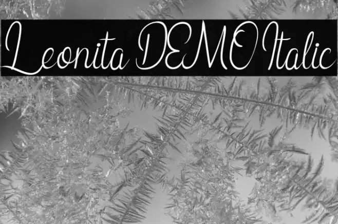 Leonita DEMO Italic Font examples