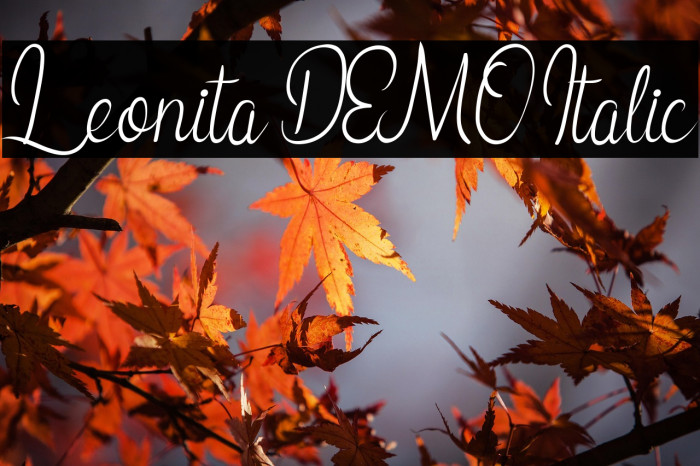 Leonita DEMO Italic Example 3