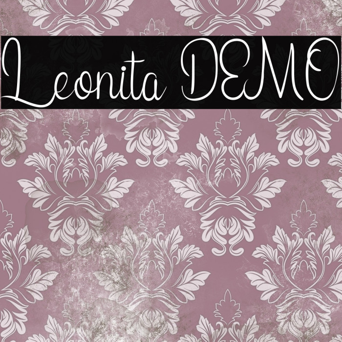 Leonita DEMO Example 1