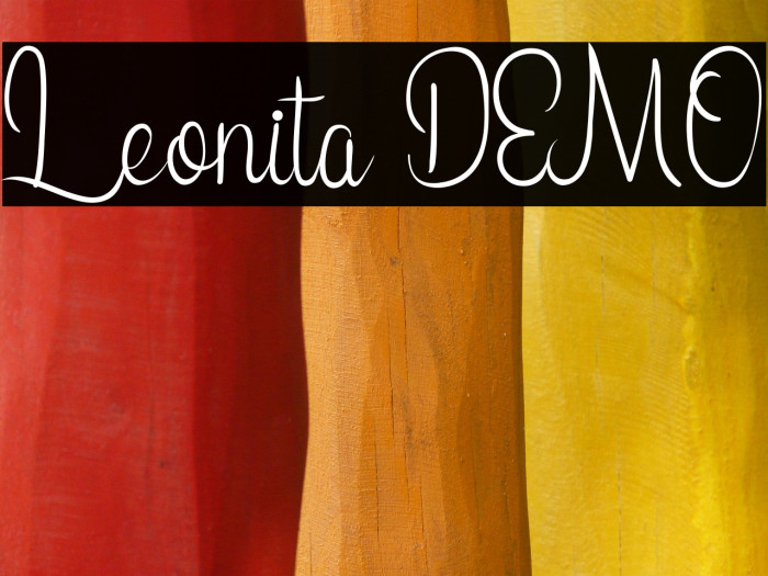 Leonita DEMO Example 2