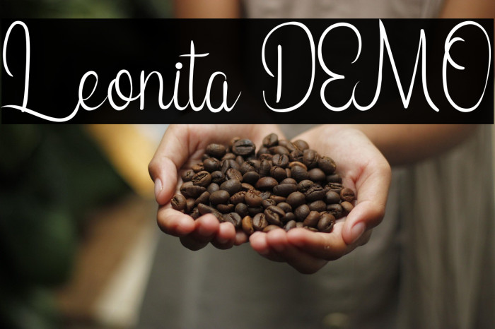 Leonita DEMO Example 3