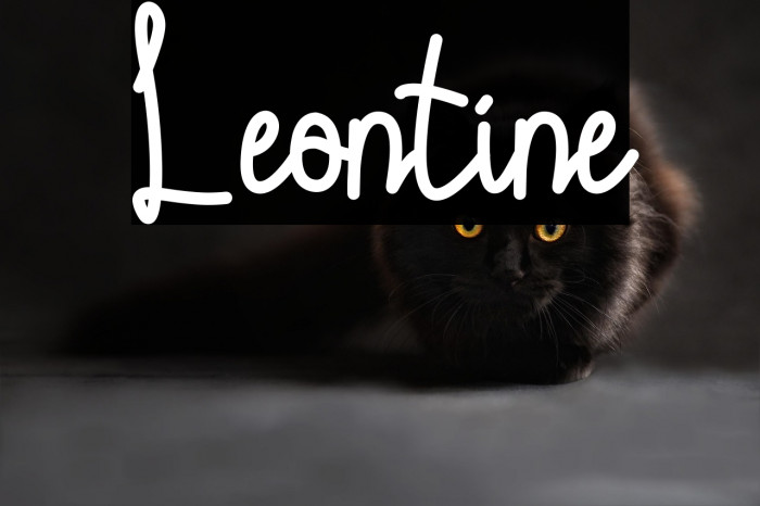Leontine Example 3