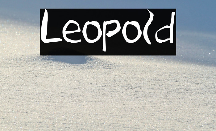 Leopold Example 2