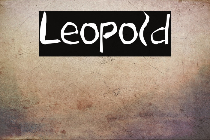 Leopold Example 3