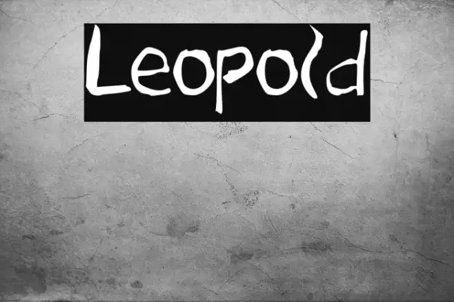 Leopold Example 3