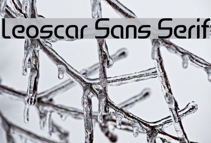 Leoscar Sans Serif Font examples