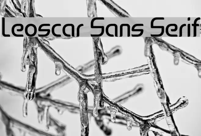 Leoscar Sans Serif Font examples