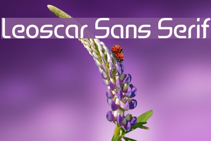 Leoscar Sans Serif Font examples