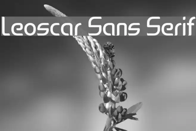 Leoscar Sans Serif Font examples