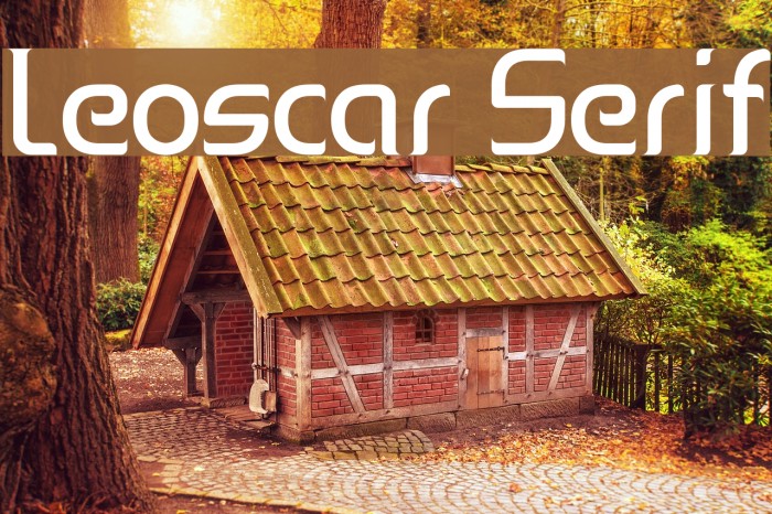 Leoscar Serif Example 2