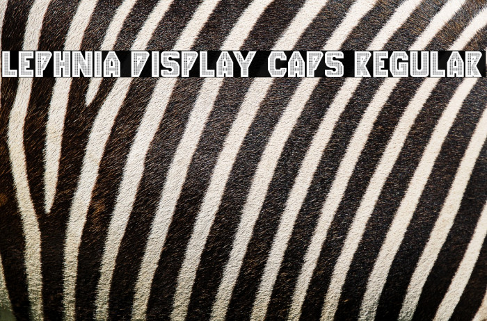 Lephnia Display Caps Regular Example 1