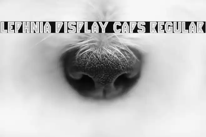 Lephnia Display Caps Regular Font examples