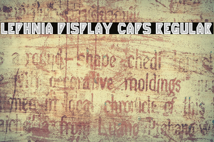 Lephnia Display Caps Regular Example 3