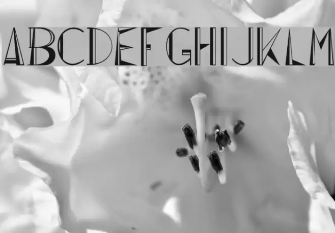 Lepinado Line Polices examples