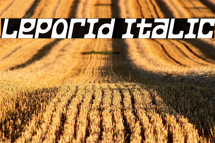 Leporid Italic Example 1