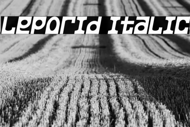 Leporid Italic Font examples