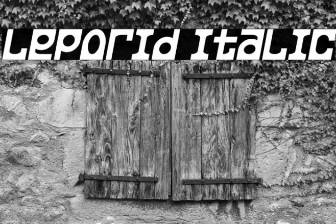 Leporid Italic Font examples