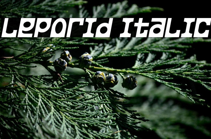 Leporid Italic Example 3