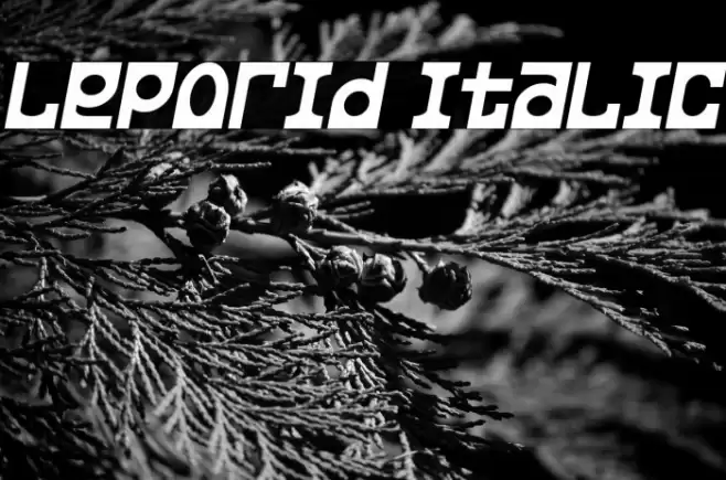 Leporid Italic Font examples