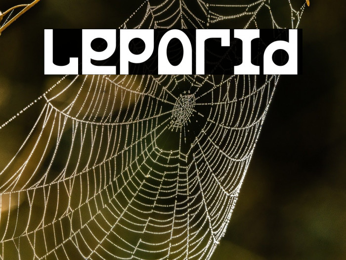 Leporid Example 3