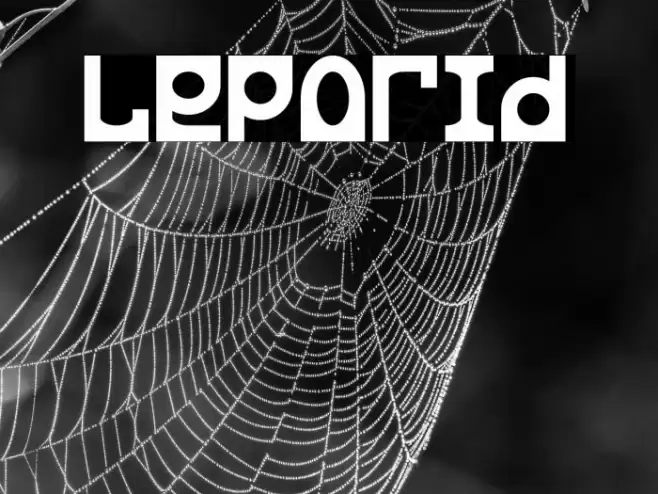 Leporid Font examples