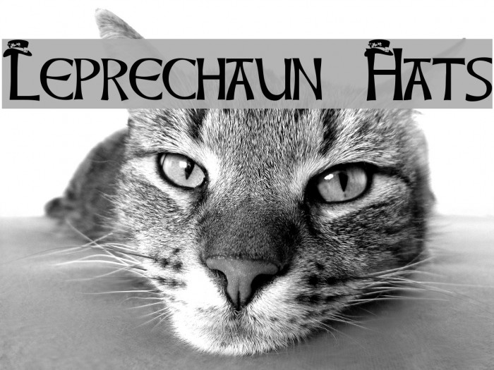 Leprechaun Hats Font examples