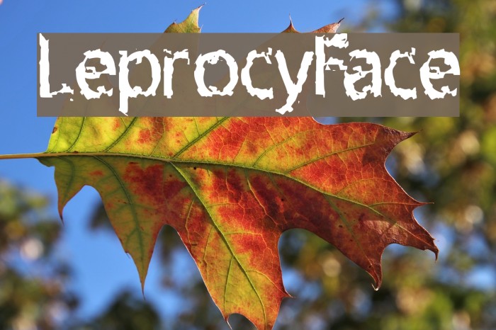 LeprocyFace Font examples