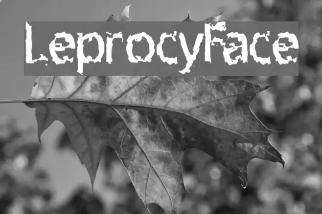 LeprocyFace Example 1