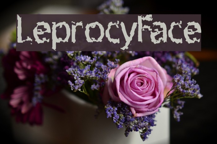 LeprocyFace Font examples