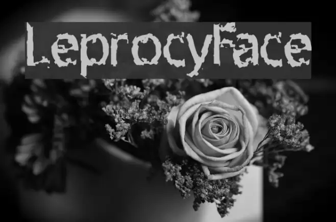 LeprocyFace Example 3