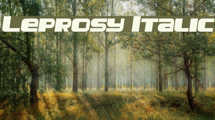 Leprosy Italic Example 1