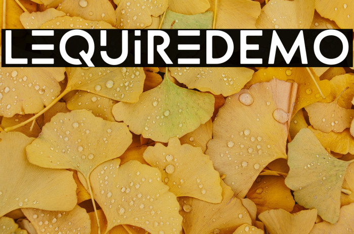 LequireDEMO Example 1